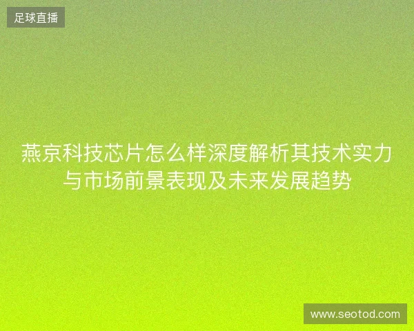 燕京科技芯片怎么样深度解析其技术实力与市场前景表现及未来发展趋势